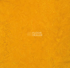 Линолеум Forbo Marmoleum Decibel on Order 312535 golden sunset фото 1 | FLOORDEALER